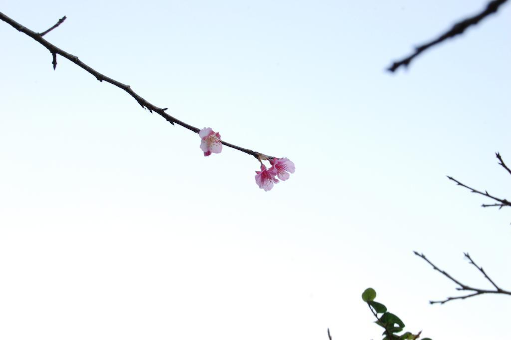 Yukurinaresort Okinawa Garden House Motobu Esterno foto