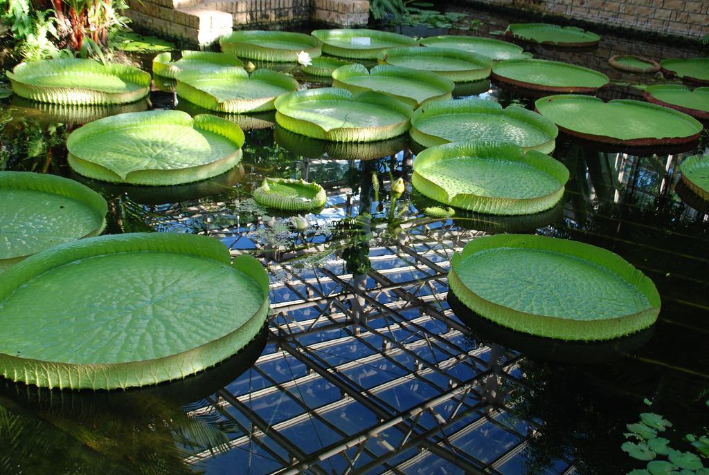 Yukurinaresort Okinawa Garden House Motobu Esterno foto